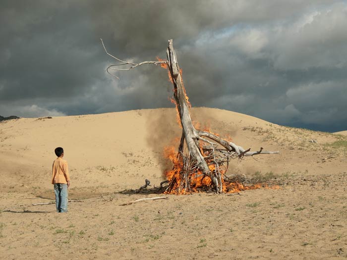 Image du film Desert Dream